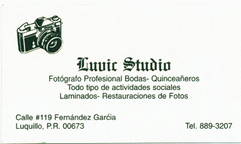 tarjeta luvic studio.gif (29577 bytes)