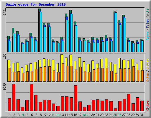 Daily usage for December 2010