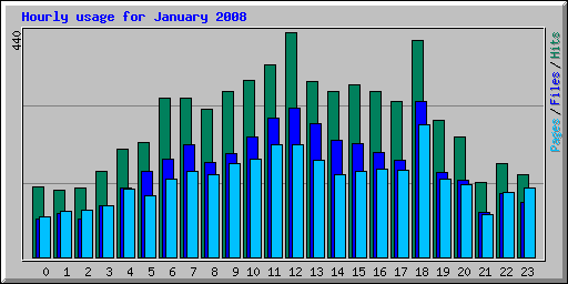 Hourly usage for January 2008